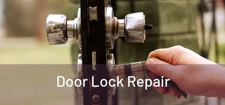 Door Lock Repair