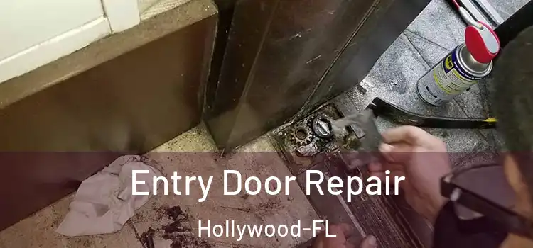 Entry Door Repair Hollywood-FL