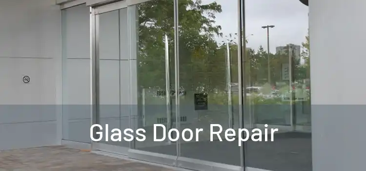 Glass Door Repair